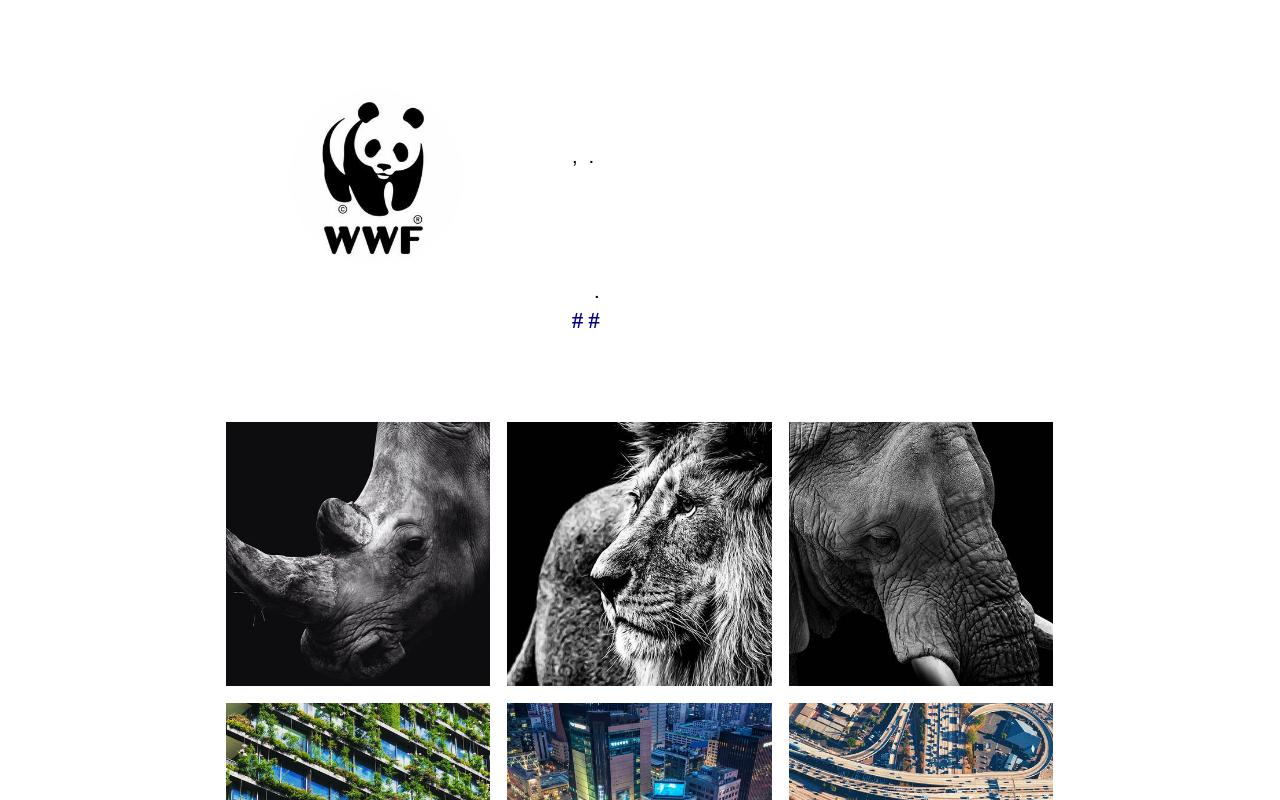 Carrd profile picture for @wwf
